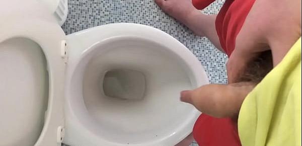 Pissing in the toilet